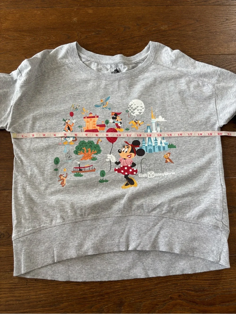 Walt Disney World Park Life Minnie Mouse Gray Crewneck Graphic Sweatshirt - Picture 11 of 12